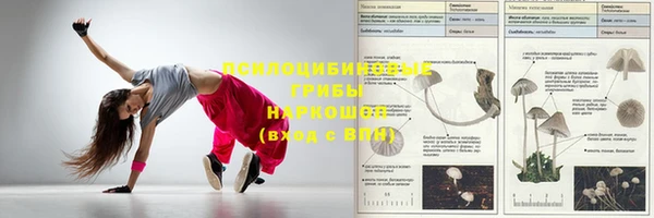 spice Баксан